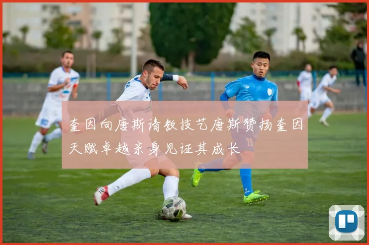 奎因向唐斯请教技艺唐斯赞扬奎因天赋卓越亲身见证其成长