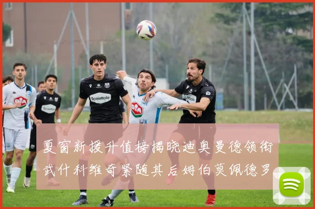 夏窗新援升值榜揭晓迪奥曼德领衔武什科维奇紧随其后姆伯莫佩德罗表现抢眼